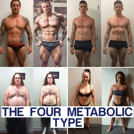 4 metabolic type